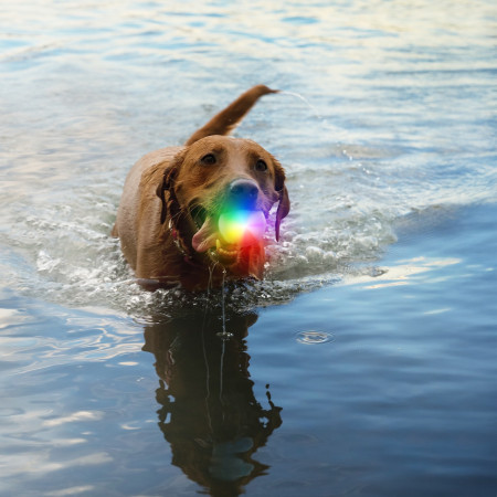 Hundespielzeug Nite Ize Glowstreak Rechargeable Led Ball