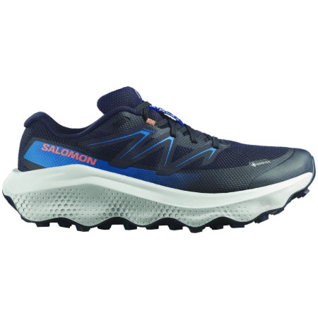 Herrenschuhe Salomon Ultra Flow 2 Gore-Tex