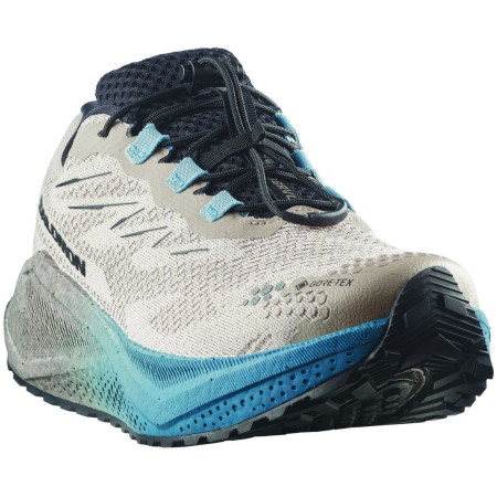 Herrenschuhe Salomon Aero Blaze 4 Grvl Gtx