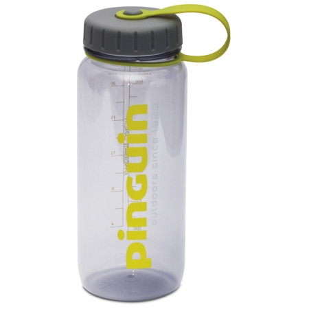 Flasche Pinguin Tritan Slim Bottle 0,65 l (2019) grau