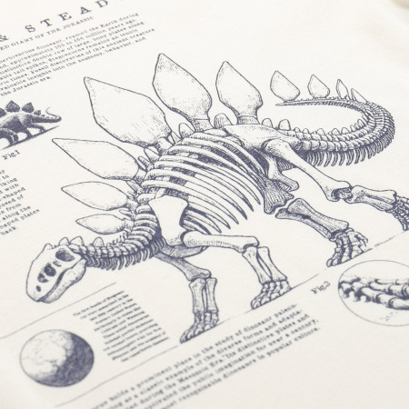 Kinder-T-Shirt Alpine Pro Ecco 2