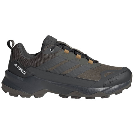 Wanderschuhe Adidas Terrex Skychaser Ax5 Gtx