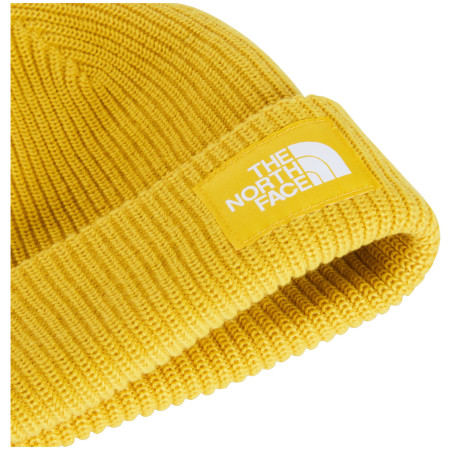 Mütze The North Face Salty Lined Beanie