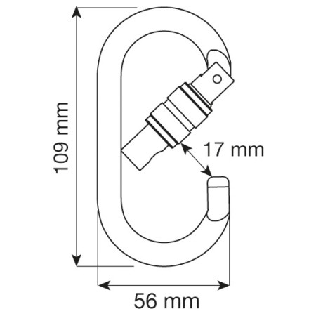Karabiner Camp Oval Pro Lock