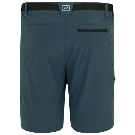 Herrenshorts Regatta Xert Stretch Shorts