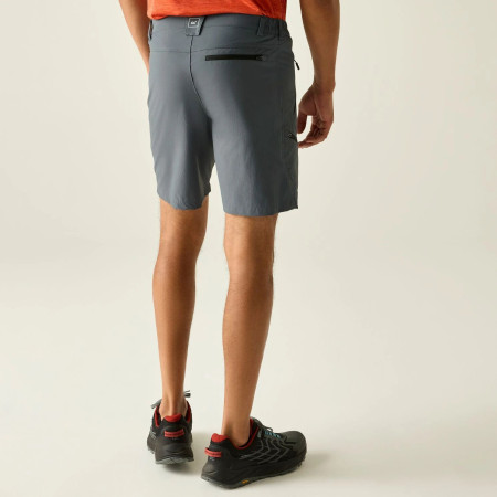 Herrenshorts Regatta Xert Stretch Shorts