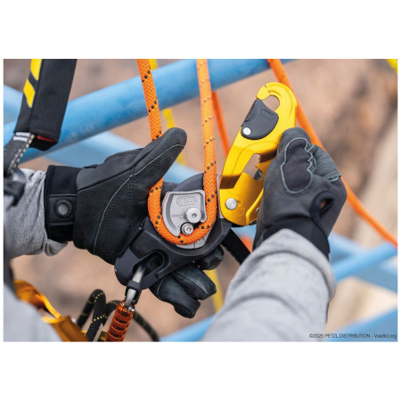 Bremse Petzl Rig