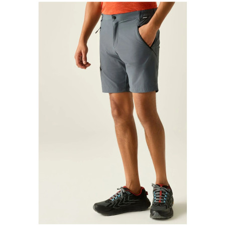 Herrenshorts Regatta Xert Stretch Shorts