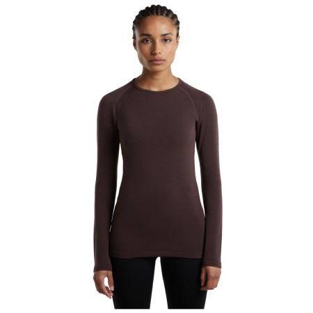 Damen-Funktionsshirt Icebreaker W Mer 260 Zoneknit Seamless LS Crewe