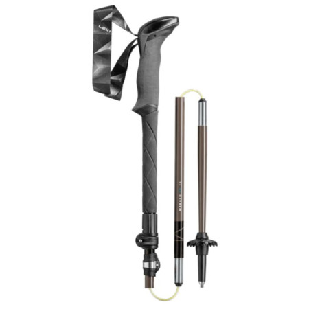 Trekkingstöcke Leki Makalu FX TA