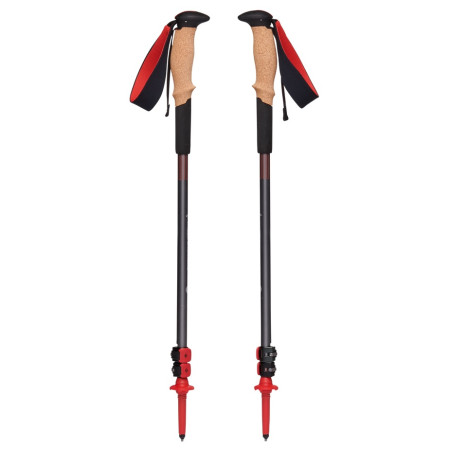 Trekkingstöcke Black Diamond Pursuit Shock Trekking Poles