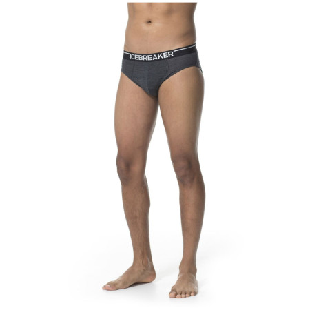 Herrenslips Icebreaker Mens Anatomica Briefs