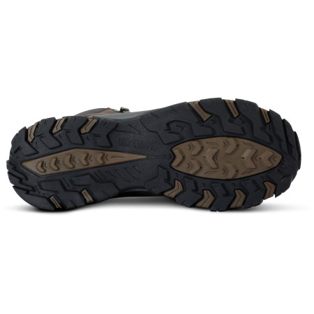 Herrenschuhe Regatta Holcombe Classic