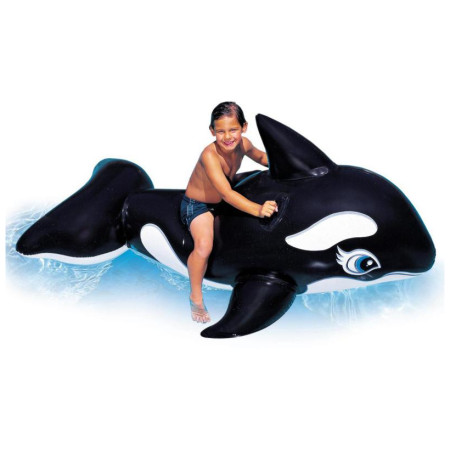 Aufblasbarer Orca Intex Whale RideOn 58561NP