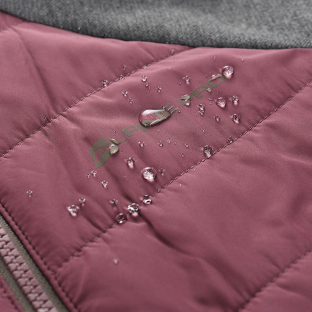 Damen Funktions-Sweatshirt Alpine Pro Jorwa 2