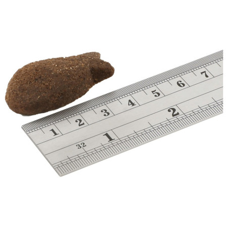 Hundeleckerlis Fish4Dogs Coat Mackerel Morsels 225g
