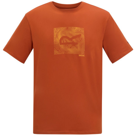 Herren T-Shirt Regatta Fingal Stretch orange Rooibos Tea