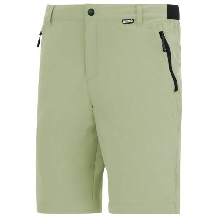 Herrenhose Regatta Anti-Insect Travel Light Z/O Trousers