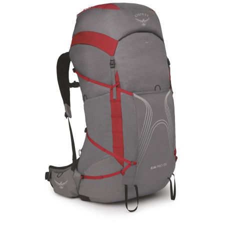 Damen Wanderrucksack Osprey Eja Pro 55 grau/rot dale grey/poinsettia red