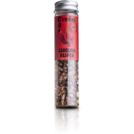 Essbare Grillen Sens Heiße, knusprige und geröstete Grillen - Carolina Reaper