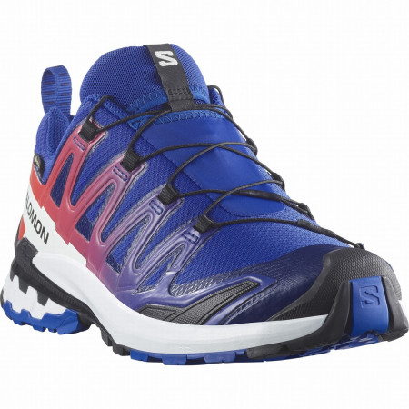 Herrenschuhe Salomon Xa Pro 3D V9 Gore-Tex Equipe blau/rot Surf The Web / Fiery Red / White