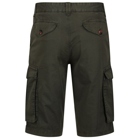 Herrenshorts Regatta Shorebay Short