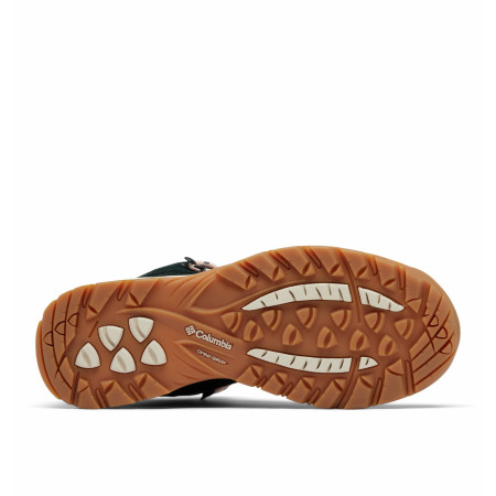 Damen Trekkingschuhe Columbia Newton Ridge™ Plus Waterproof Amped