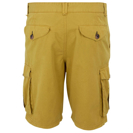 Herrenshorts Regatta Shorebay Shorts II