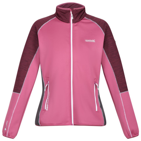Damen-Sweatshirt Regatta Wmns Yare VI rosa Violet/AmaHz
