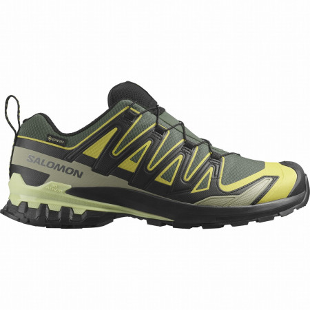 Wanderschuhe Salomon Xa Pro 3D V9 Gore-Tex
