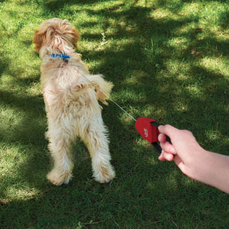 Hundeleine Nite Ize RadDog™ Retractable Pocket Leash