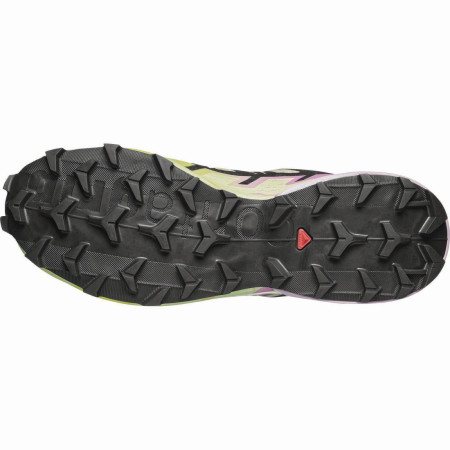 Damenschuhe Salomon Speedcross 6 Gore-Tex