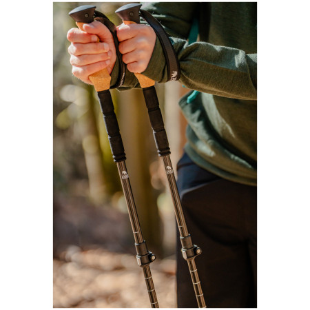 Trekkingstöcke Zulu Hiker Carbon Lock