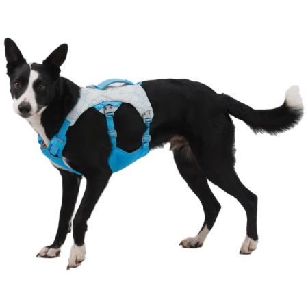 Hundegeschirr Ruffwear Swamp Cooler Harness