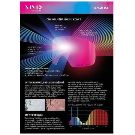 Damen Ski-Brille Giro Millie