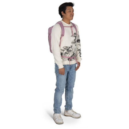 Urban-Rucksack Osprey Daylite