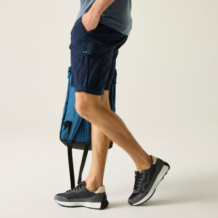 Herrenshorts Regatta Bendrick Shorts