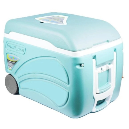 Kühlbox Pinnacle Proxon 45L