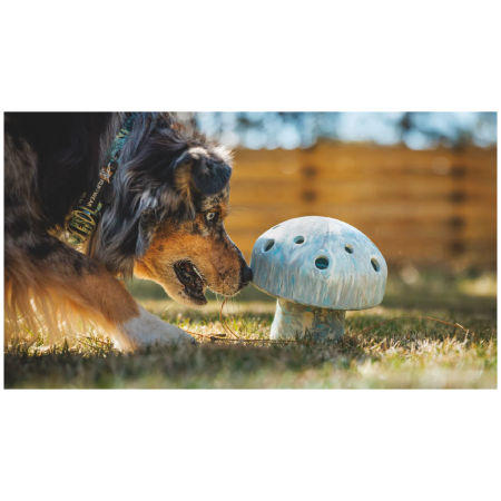 Hundespielzeug Ruffwear Porchini™