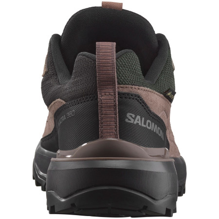 Damenschuhe Salomon X Ultra 360 Leather Gore-Tex