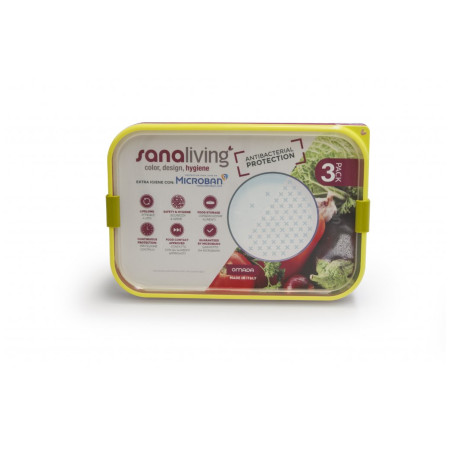 Lebensmittelbox Omada Sanaliving Box Set 3x 24x16,5x5cm/1L