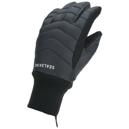 Wasserdichte Handschuhe SealSkinz Waterproof All Weather Lightweight Insulated Glove schwarz Black