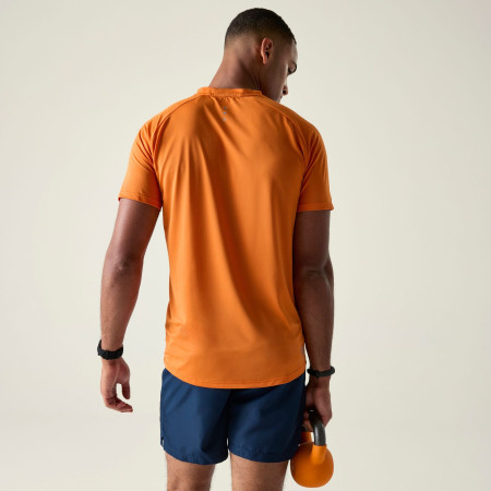 Herren-T-Shirt Dare 2b Tech II Tee