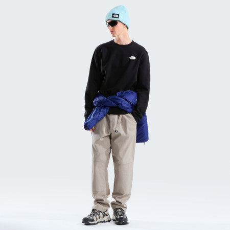 Herren-Sweatshirt The North Face M Evolution Box Nse Regular Crew