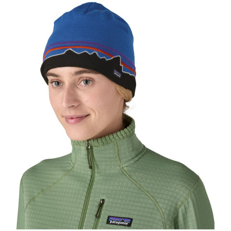 Wintermütze Patagonia Beanie Hat