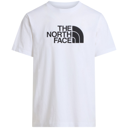 Herren-T-Shirt The North Face Evolution Half Dome Regular Short Slee