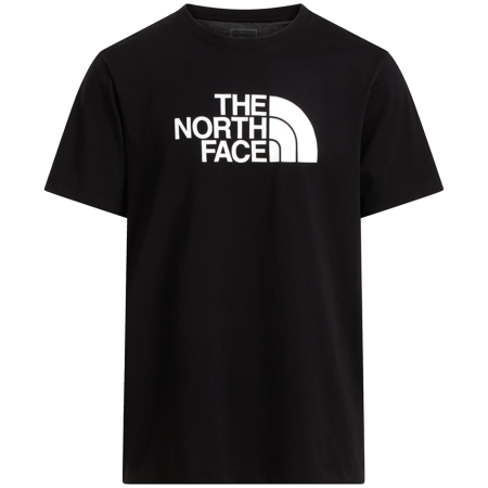 Herren-T-Shirt The North Face Evolution Half Dome Regular Short Slee