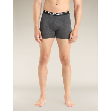 Herren-Boxershorts Icebreaker Mens Anatomica Boxers