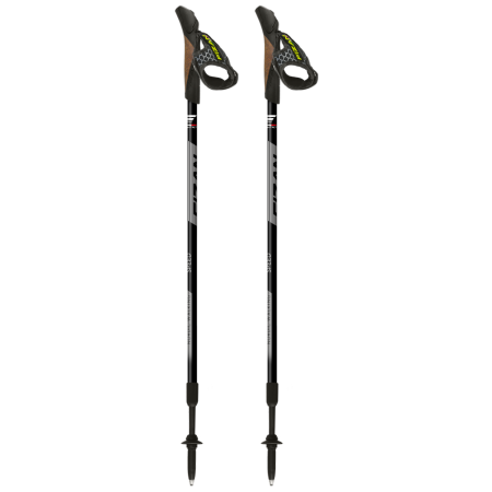 Stöcke Fizan NW Speed schwarz/grau black