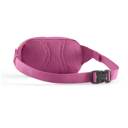 Hüfttasche Patagonia Terravia Mini Hip Pack